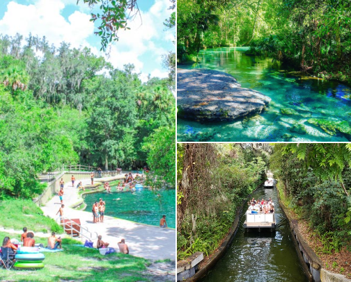 Best Things to Do in Orlando (A Local's Guide) in 2026 cover photo collage