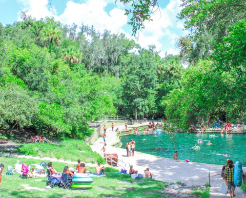 Best Things to Do in Orlando (A Local's Guide) in 2026 cover photo collage