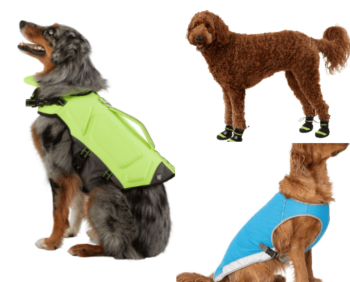 Dog Clothing & Accessories cover photo collage