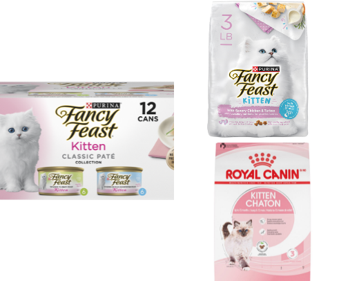 kitten essentials 🐈 cover photo collage