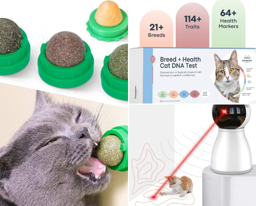 Cats Must’ve favorites cover photo collage