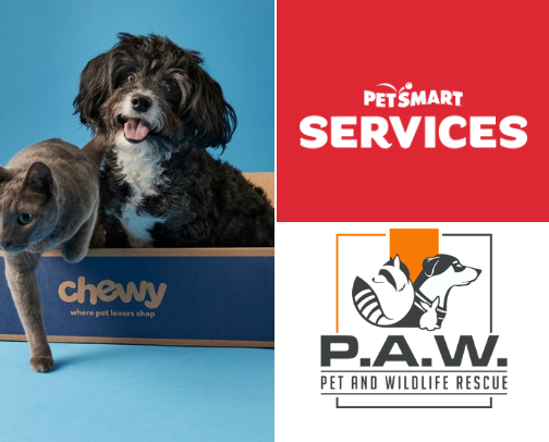 Top essentials for the fur babies cover photo collage