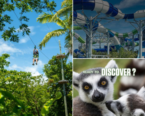 Miami Adventures: Kid Tested, Mother Approved cover photo collage