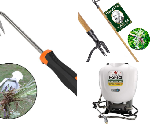 Big Backyard business cover photo collage