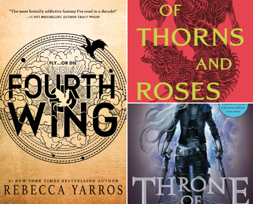 TBR 2025! cover photo collage