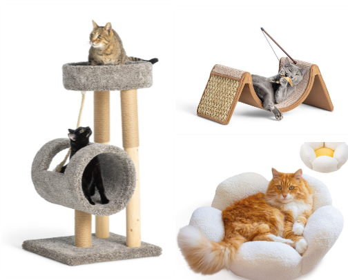cat essencials cover photo collage