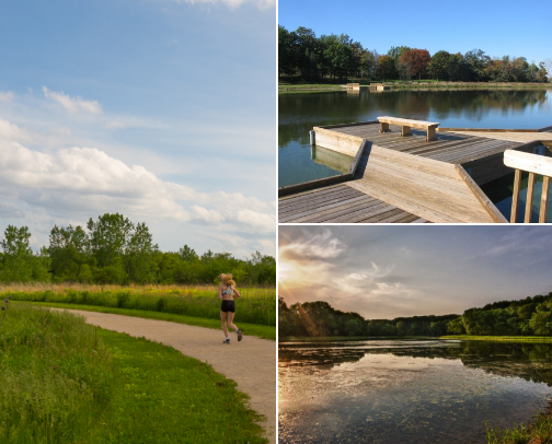 Things to Do in the Burbs - IL cover photo collage