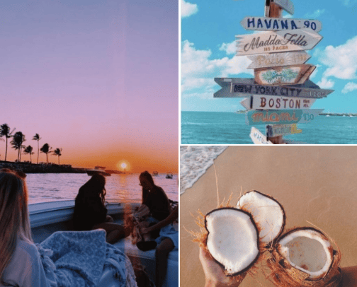 Summer🐬🌸 cover photo collage