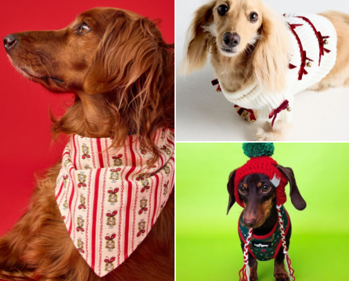 Christmas outfits for your dog that will make Santa jealous cover photo collage