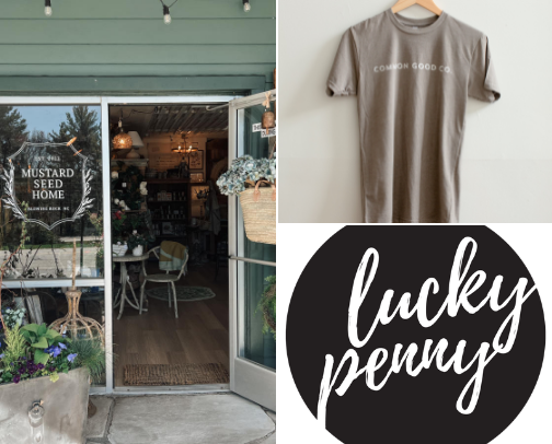 Boone/blowing Rock recs in NC mountains cover photo collage