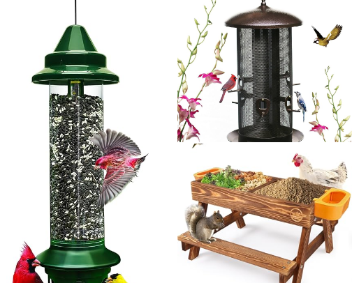 My favorite bird feeders cover photo collage