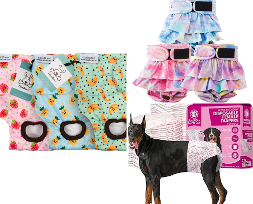 🐾 Female Pug in Heat Essentials cover photo collage