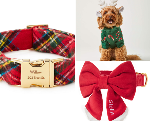 Christmas gifts for your dog 🎄🐾 cover photo collage