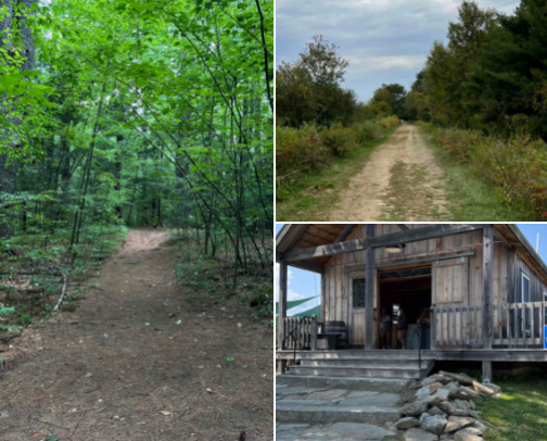 My top Rochester rec cover photo collage