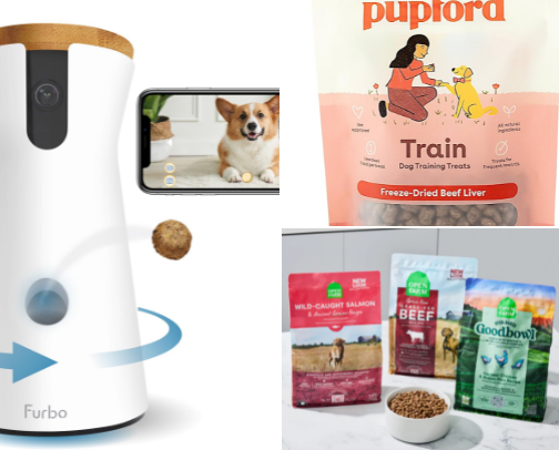 Must haves for dog owners cover photo collage