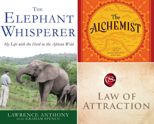 My favorite book recs cover photo collage