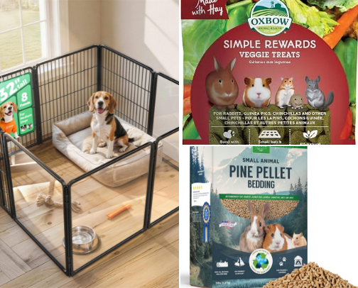 Small pet recommendations 🐰🐹🐭🐥 cover photo collage
