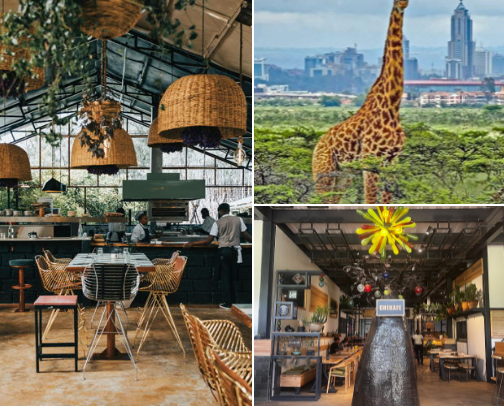 Places to Visit in Nairobi and Top Destinations in Kenya. cover photo collage
