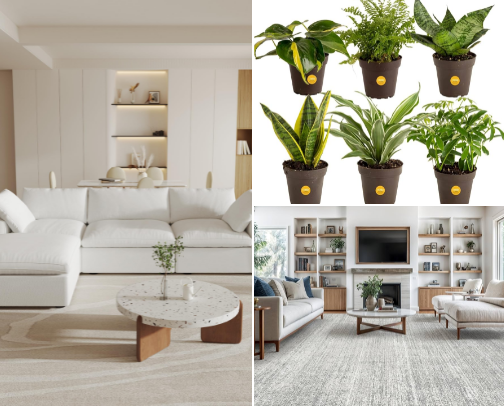 Must-Haves for YOUR Apartment (cozy aesthetic) cover photo collage