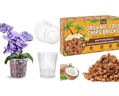 Orchid essentials! cover photo collage