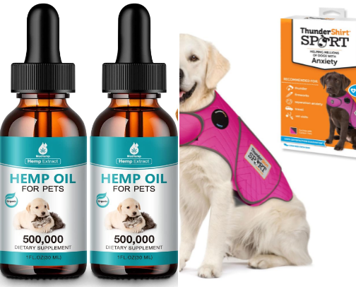 Natural Remedies for Dog Separation Anxiety cover photo collage
