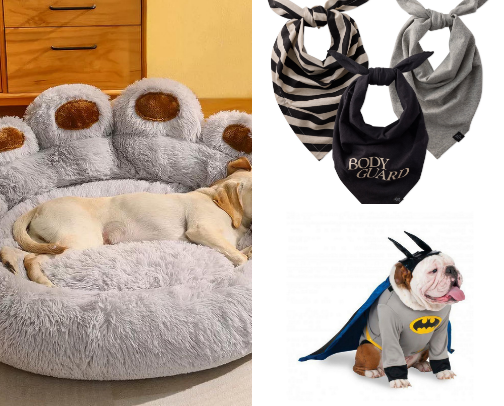 Pet essentials I’m obsessed with cover photo collage