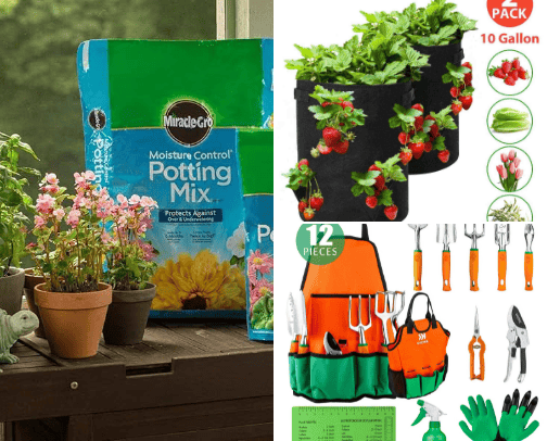 Gardening Materials 🥕🥦🍅 cover photo collage