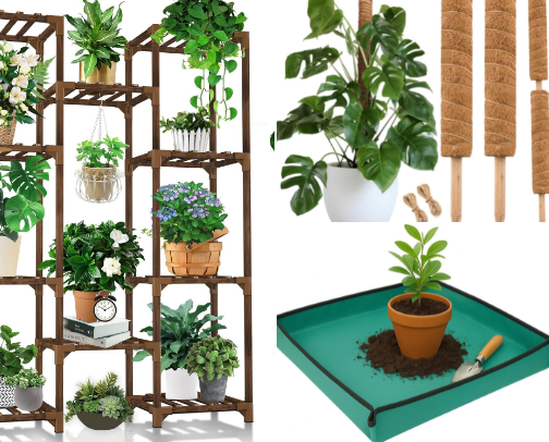 Green Thumb Go-Tos: My Favorite Plant & Garden Finds cover photo collage