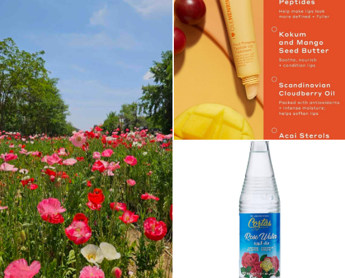My B E A U T Y must haves cover photo collage