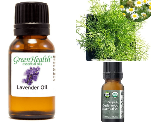 Essential oils cover photo collage