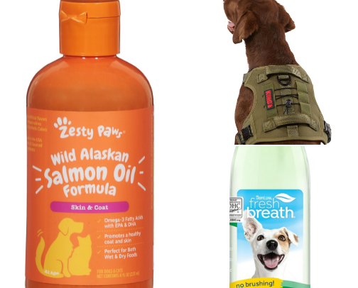 Pawsome dog finds cover photo collage