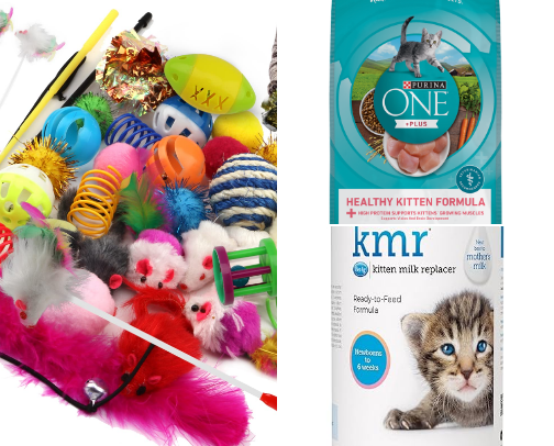 Cat supplies cover photo collage