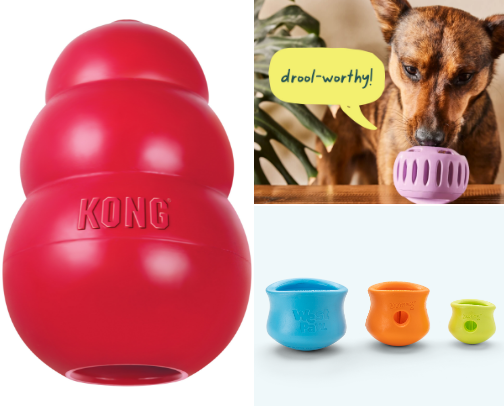 Must Haves for a High Energy Dog cover photo collage