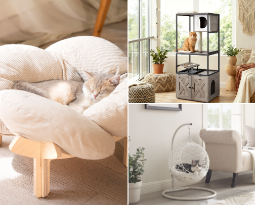 Cool Cat Furniture cover photo collage