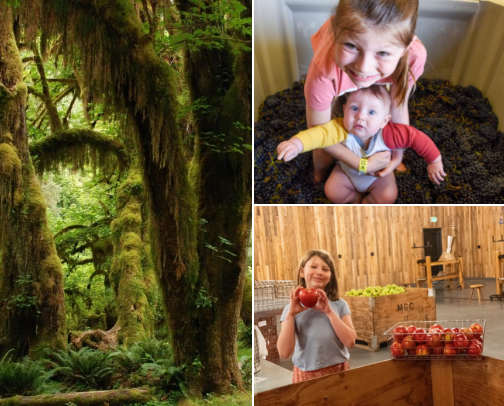 Best Road Trips in Washington State cover photo collage