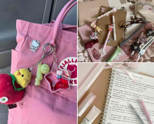Students Must-Haves ✏️📚 cover photo collage