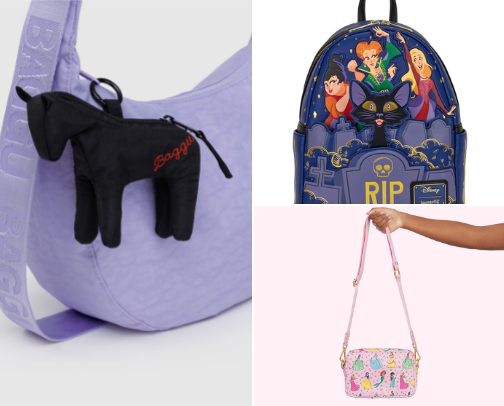 WHATS IN MY DISNEY PARK BAG??? 💕🌸🪩🎀 cover photo collage