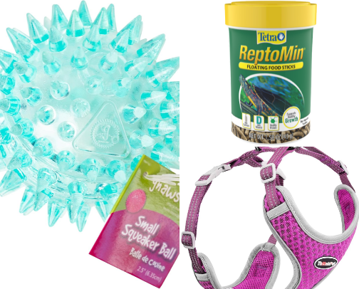 Small Critters 'n Varmits cover photo collage