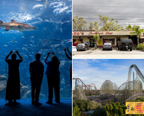 Visiting Tampa 🌴, Here’s a list for you cover photo collage