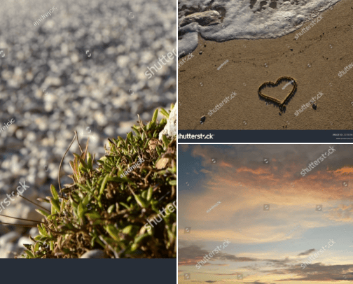 Stunning Free Background Images cover photo collage