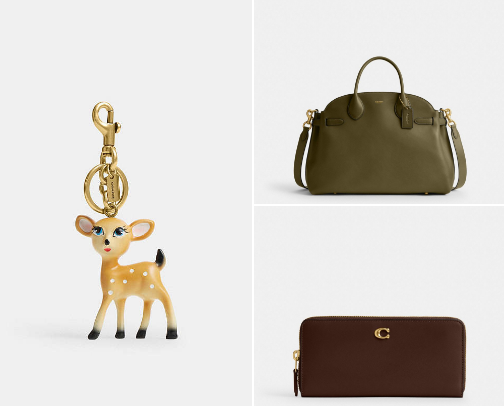 Coach Me If You Can cover photo collage