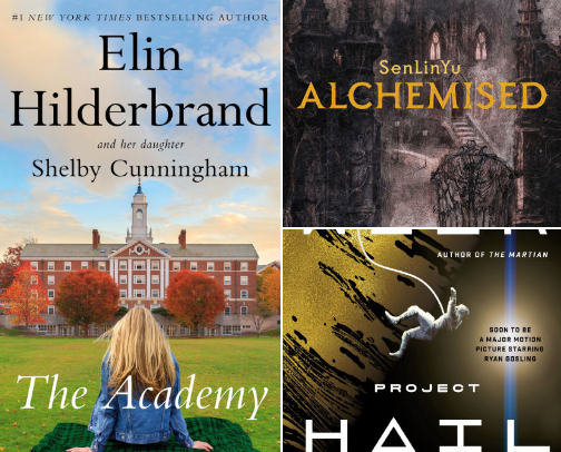 Lala’s Library cover photo collage