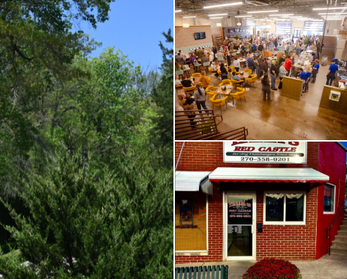 Places to go near me cover photo collage