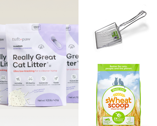 Cat Litter Recs + Products!🐾 cover photo collage