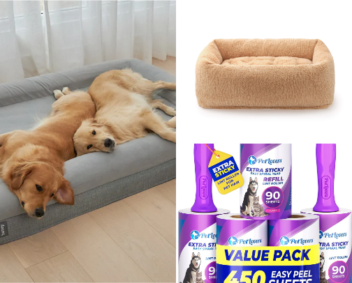 Lifestyle & Home cover photo collage