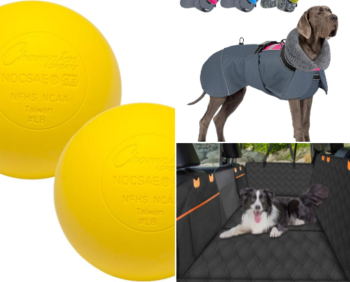 Life with dobermans cover photo collage