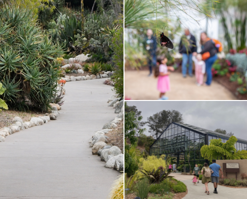 A Self-Guided Cactus and Succulent Tour of Southern California cover photo collage
