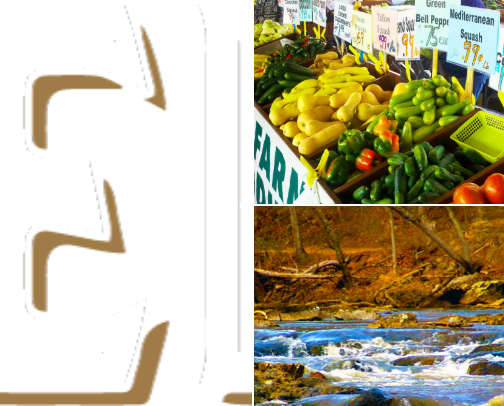Things to do in the Triangle cover photo collage