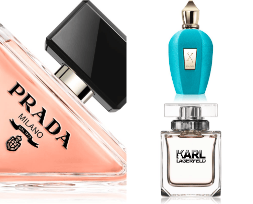 the best perfumes for you🤩 cover photo collage