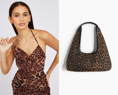 Leopard finds 🐆 cover photo collage